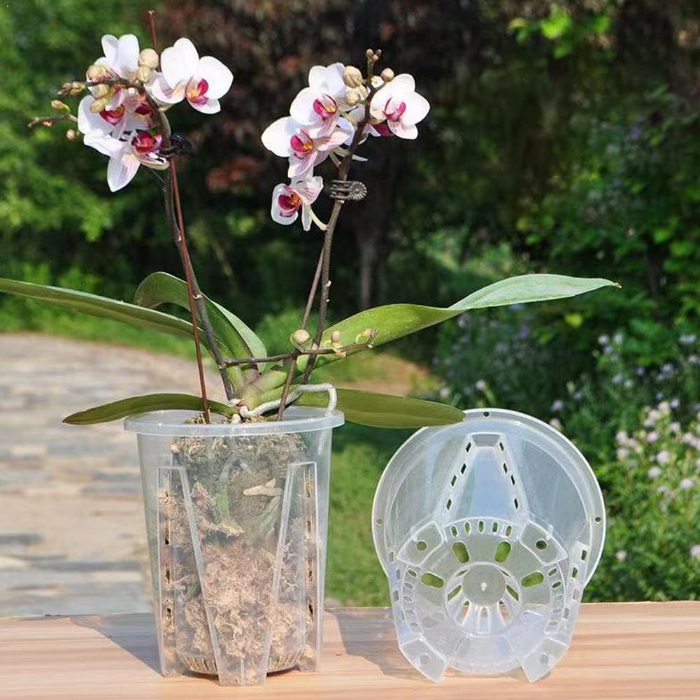 Aloe Vera Pot - وعاء زرع بلاستيكي شفاف للتحكم بالجذور،