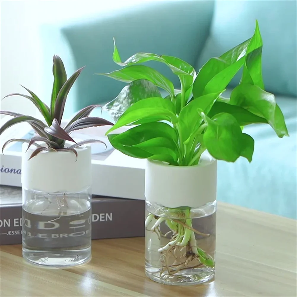 Aloe Vera Pot - وعاء زهور مائي صغير شفاف للزراعة