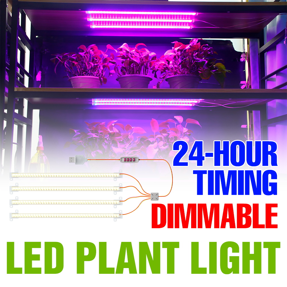 Echeveria Succulent - شريط إضاءة LED داخلي للنباتات يعمل