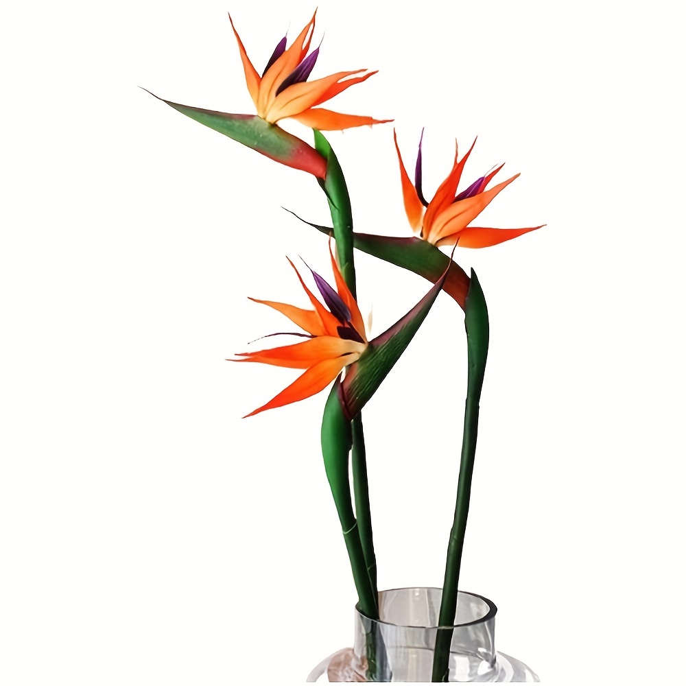 Bird Paradise Strelitzia - 3 قطع من زهور طيور السماء