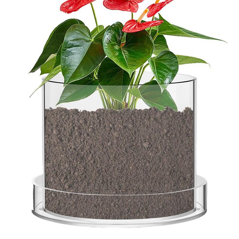 Aloe Vera Pot - أواني نباتات شفافة مع تصريف حاويات