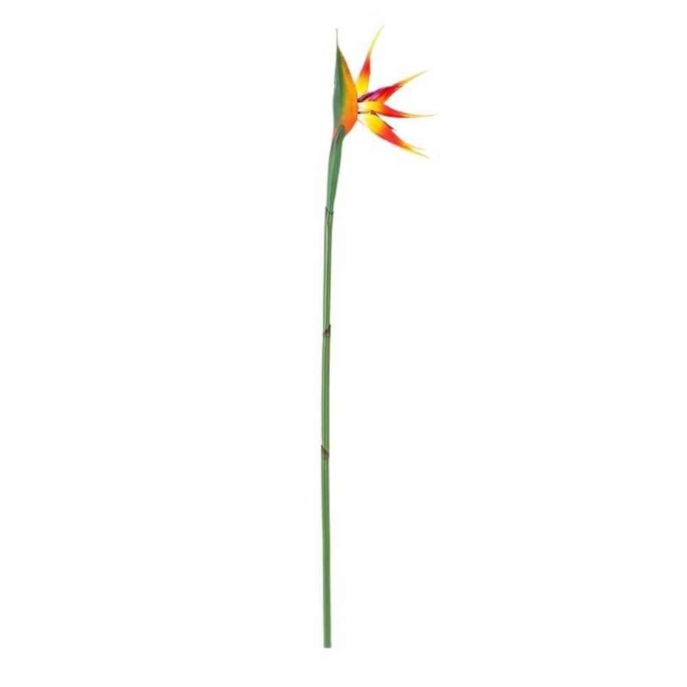 نباتات صناعية طويلة الساق تشبه - مراجعة Bird Paradise Strelitzia وسعره