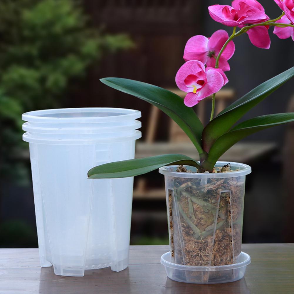 وعاء زرع بلاستيكي شفاف للتحكم  - مراجعة Aloe Vera Pot وسعره
