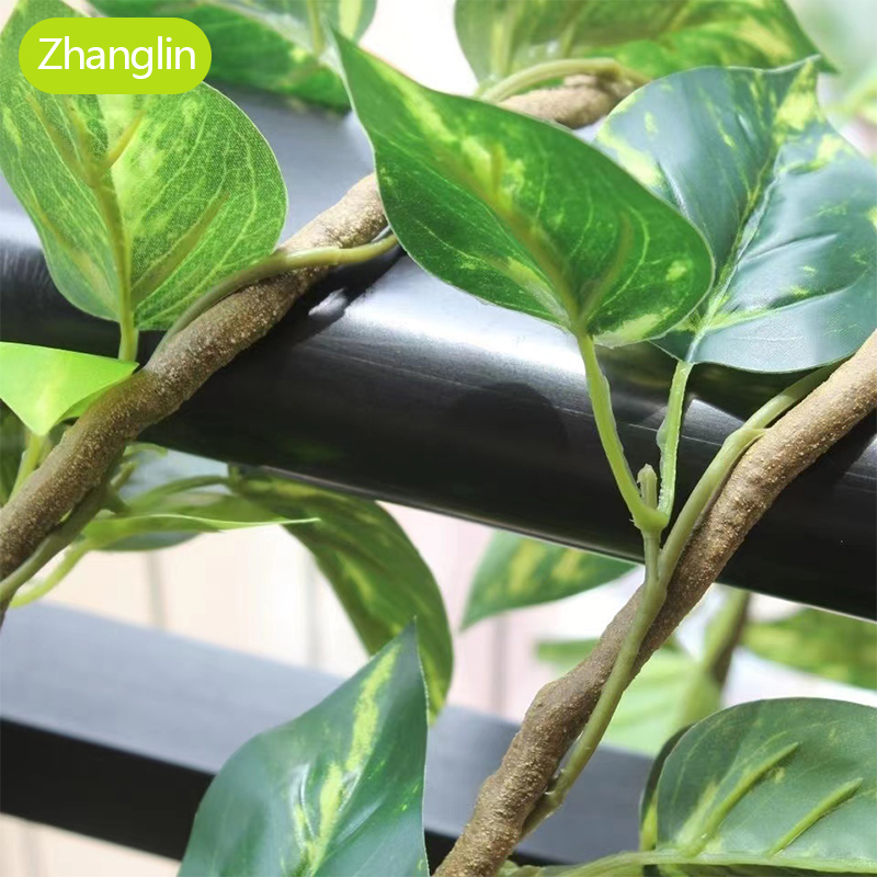 نباتات اصطناعية، نباتات متسلقة - مراجعة Monstera Adansonii وسعره