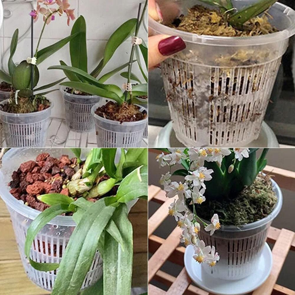 وعاء شبكي للتحكم في الجذر أصيص - مراجعة Aloe Vera Pot وسعره