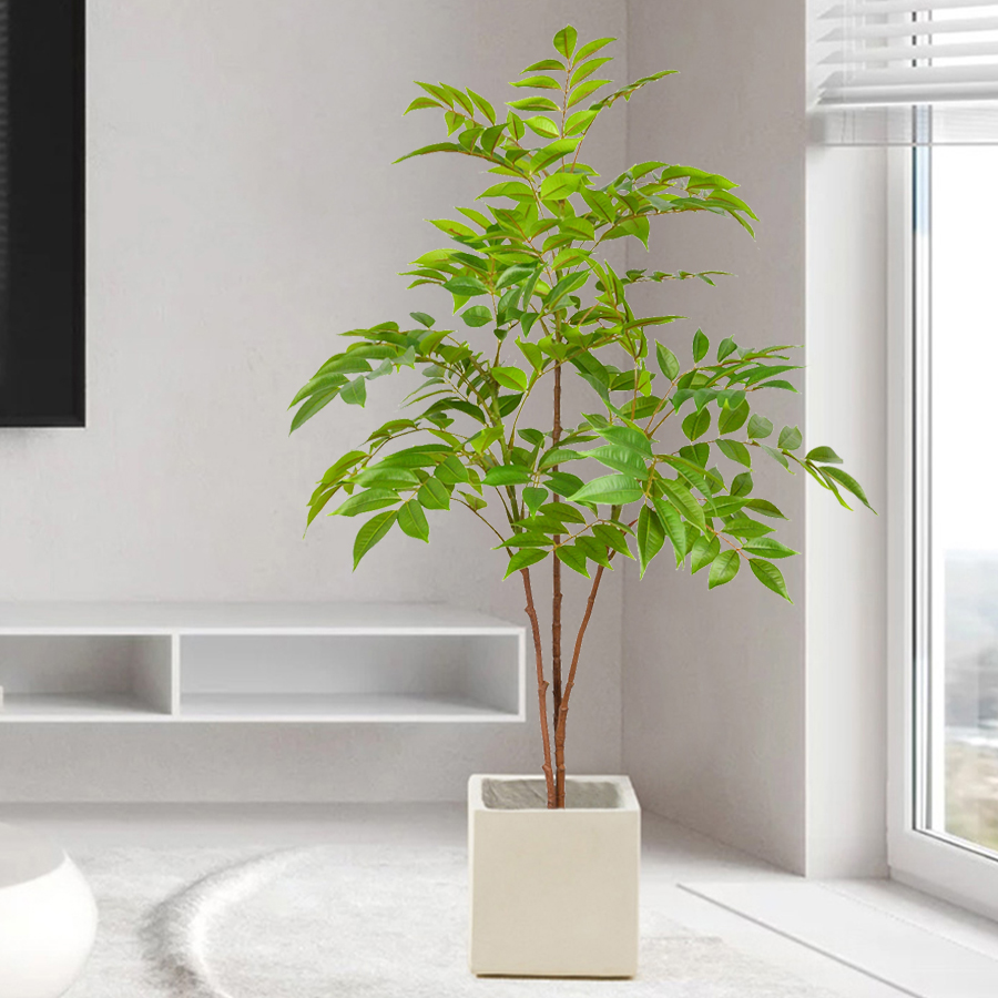 76-140 سنتيمتر فرع شجرة اللبخ  - مراجعة Ficus Lyrata Tree وسعره