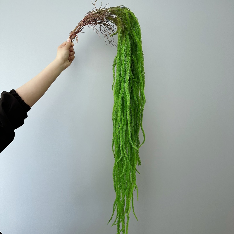 لحية الصفصاف الاصطناعية متعددة - مراجعة Monstera Adansonii وسعره