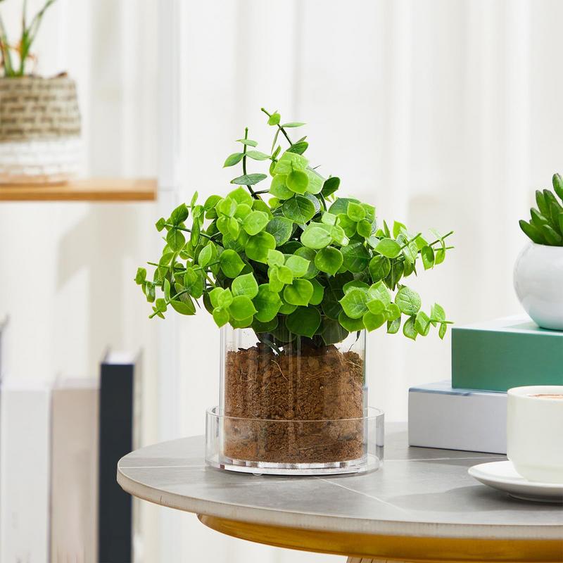 أواني نباتات شفافة مع تصريف حا - مراجعة Aloe Vera Pot وسعره