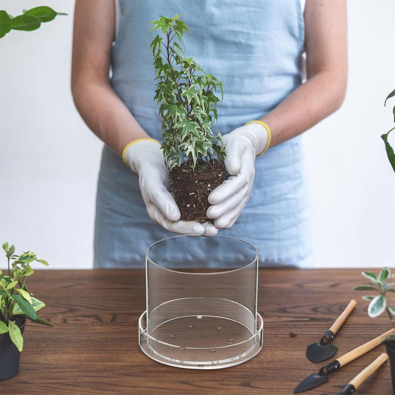 أواني نباتات شفافة مع تصريف حا - مراجعة Aloe Vera Pot وسعره