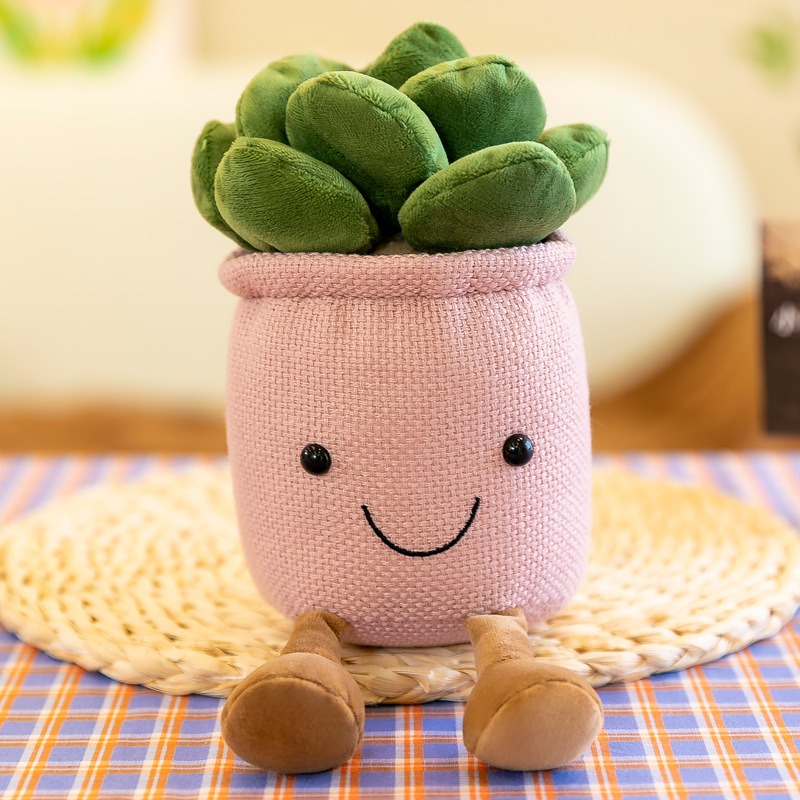 ألعاب محشوة على شكل نباتات الت - مراجعة Echeveria Succulent وسعره