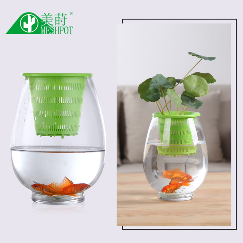 Meshpot 3 قطعة بلاستيكية ملونة - مراجعة Aloe Vera Pot وسعره