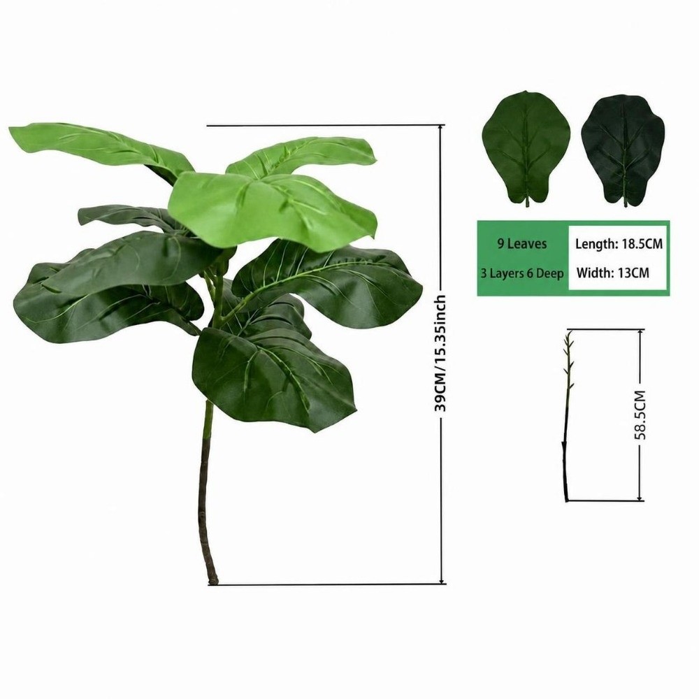 15/9/23 أوراق نبات التين الاصط - مراجعة Ficus Lyrata Tree وسعره