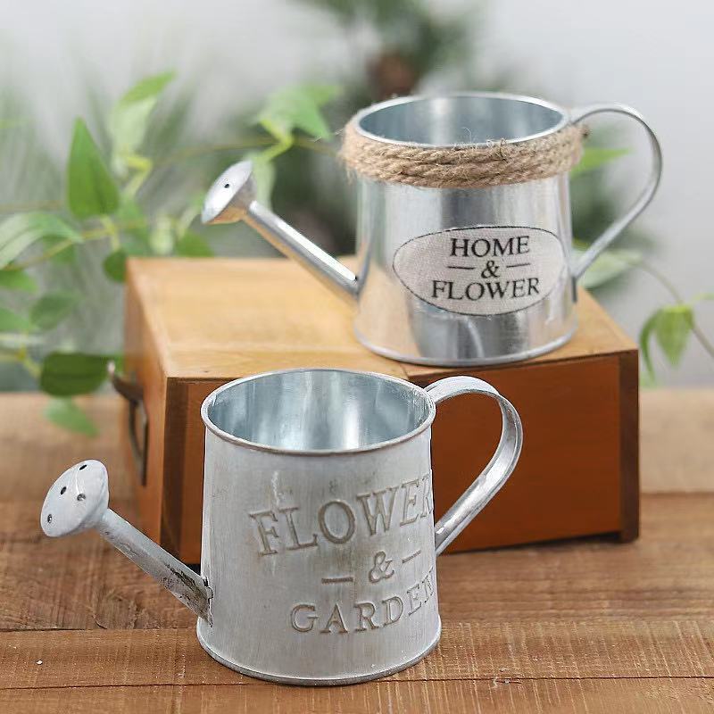 برميل حديقة الديكور القصدير أو - مراجعة Aloe Vera Pot وسعره
